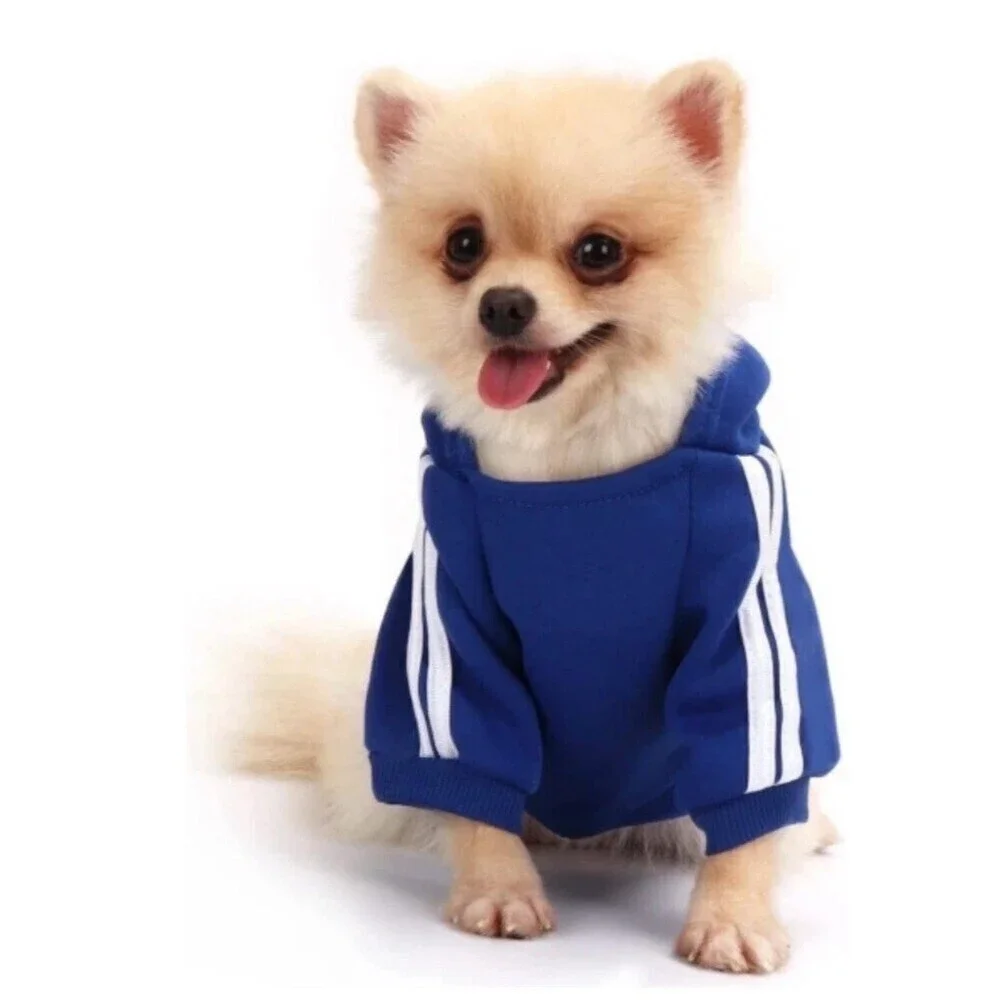 Adidog pullover dog